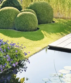 Heissner Teichrandsystem 10er-Set (TF822-00) -Heissner 55555f40d70895a jpg