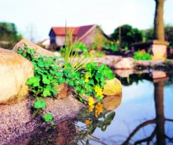 HEISSNER Steinfolie Sand - Feste Größe 7 HEISSNER Steinfolie Sand - Feste Größe -Heissner Aussenbild Steinfolie sand feste Groesse