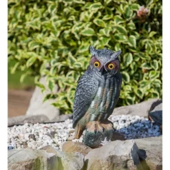Heissner Eule, 40cm (001107-00)