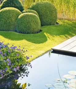 Heissner Teichrandsystem: PE-Band, 15 M X 140 Mm (TF821-00) -Heissner Heissner Teichrandsystem PE Band 15 m x 140 mm 9