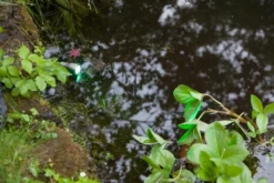 Heissner SMART LIGHT Spot, 3W, RGB, Metall (L433-00) -Heissner L433 00 stibi2 IMG 4736