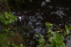 Heissner SMART LIGHT Spot, 3W, RGB, Metall (L433-00) -Heissner L433 00 stibi IMG 4734