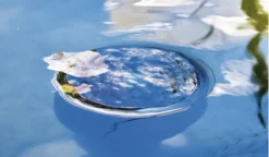 Heissner Standskimmer Mit Bodenteil DN75 (F550-00) -Heissner Original Heissner Produkt 37