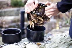 Heissner Standskimmer Mit Bodenteil DN75 (F550-00) -Heissner Original Heissner Produkt 38