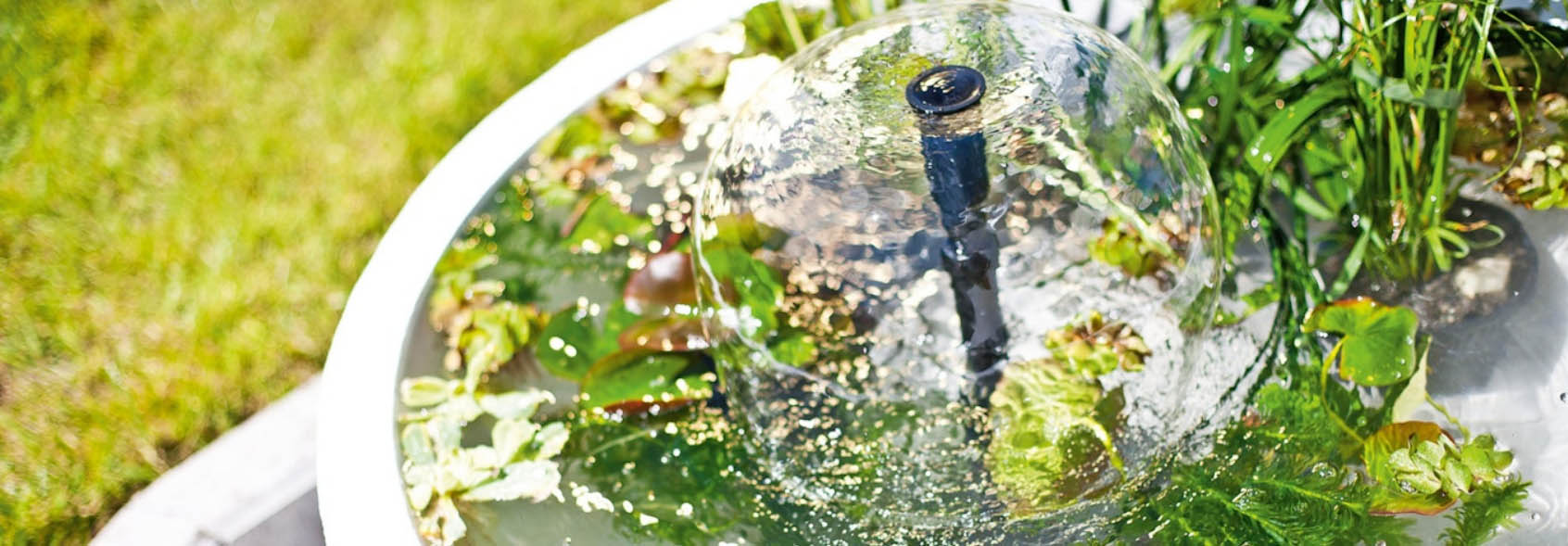 Heissner -Heissner sdfdsg